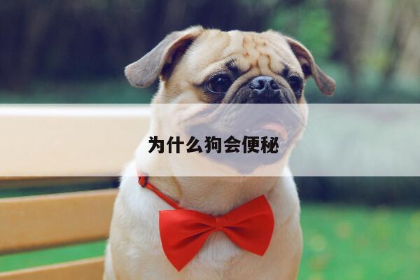 为什么狗会便秘